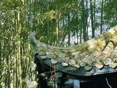 -望江楼公园