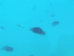 -亚龙湾海底世界
