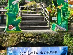 -宁波五龙潭景区