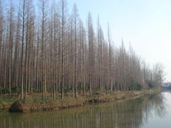 怡沁中路桥上南望-上海怡沁园度假酒店