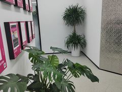 -新东方斯芬克艺术留学作品集培训(郑州校区)