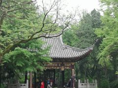 -汇龙潭