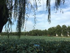 -亲兄弟真人CS团建拓展基地