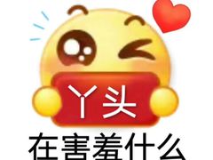 -鹤江桥·红油牛肉粉(SKP店)