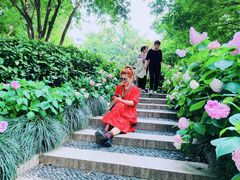 -常州古运河南大街文化旅游区-人民公园