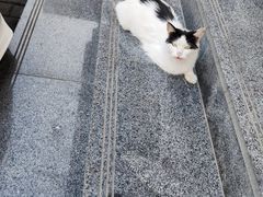 门面-33韩式自助烧烤(环城南路店)