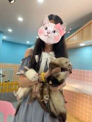 -Moni星球萌宠·小马宝莉·灵蛇·高端高阶全萌宠互动体验俱乐部(红豆国际广场店)