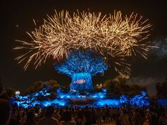 -郑州银基国际旅游度假区