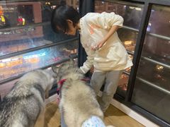 -Husky Go! 哈士奇体验馆·宠物咖啡厅狗咖