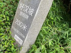 -梧桐山风景名胜区