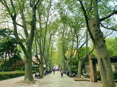-静安公园(静安寺街道)