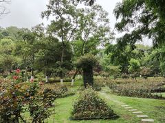 -花溪公园