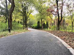 -新江湾城公园