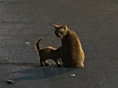 -点都德(广州白云山景区南门店)