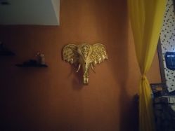 -琦品高端美容SPA私佳美场