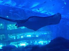 -成都浩海立方海洋公园