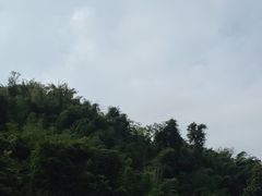 -西双版纳原始森林公园