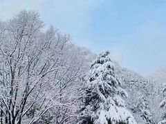 -秦岭风景区