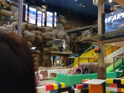 -卡通尼·Safari非洲探索乐园·生日会(金桥国际商业广场店)