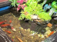 -隐炉和牛烧肉店(群力店)