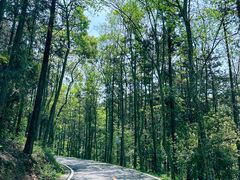 -潜山国家森林公园