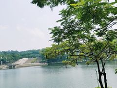 -东莞植物园