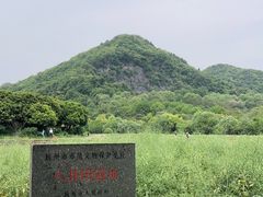 -八卦田遗址公园