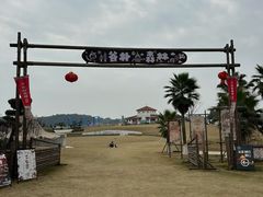 -空港花田景区