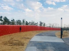 -春花秋色城市公园