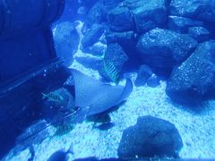 -波塞冬旅游度假区