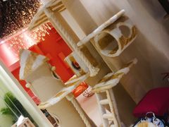 -藏猫猫咖啡主题馆(中央大道店)