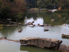 -云溪植物园