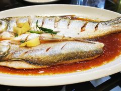 -老马家·舌尖上的西塘美食