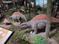 -湖南省地质博物馆