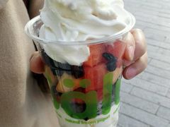 -Salud撒露欧洲冻酸奶(北苑上品店)