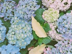 -公园前(地铁站)