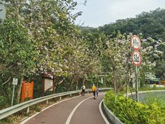 -梧桐山风景名胜区