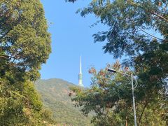 -梧桐山风景名胜区