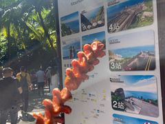 -海南分界洲岛旅游区