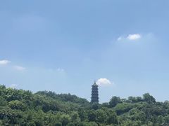 -重庆园博园
