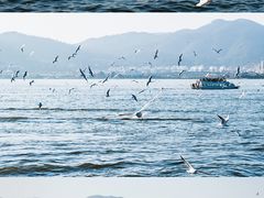 -海埂大坝