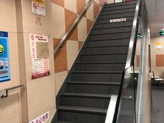 -振鼎鸡(福州路店)