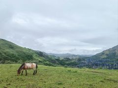 -墨石公园景区