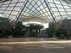 -三亚海昌梦幻海洋不夜城