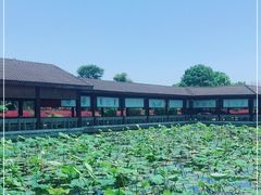 -千龙湖生态旅游度假区