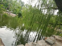 -馄饨侯(广渠门店)