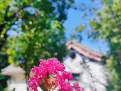 -泰山风景名胜区-虎山公园