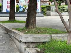 -大理文庙(大理古城)