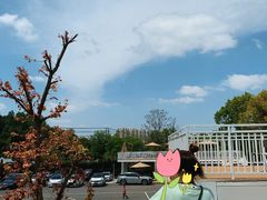 -青龙山国家森林公园