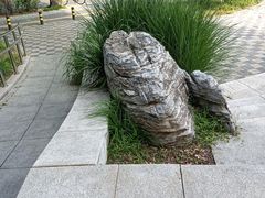 -南长河公园
